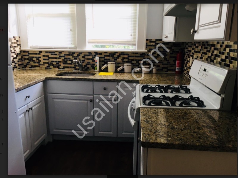 9 evelyn kitchen2 pic.png